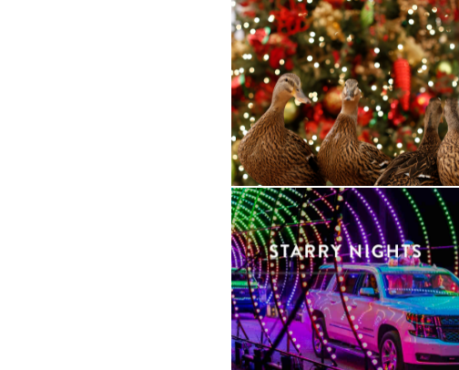 Christmas in Memphis cover photo collage