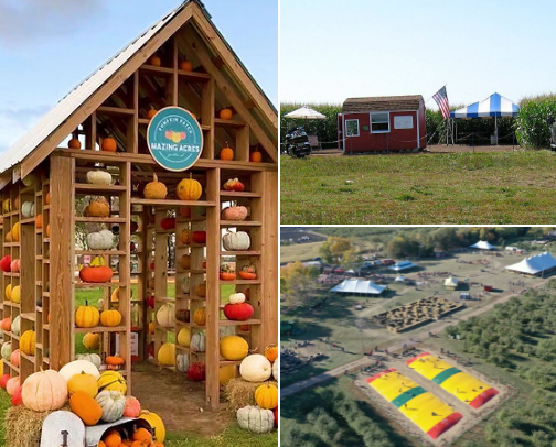 Family Fall Fun in the Midwest cover photo collage