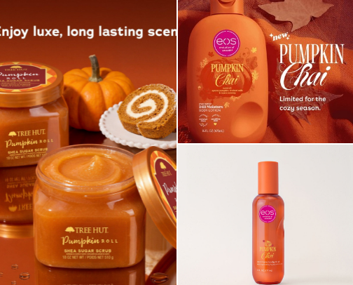 Fall favorites 🍂🎃🍎🤎 cover photo collage
