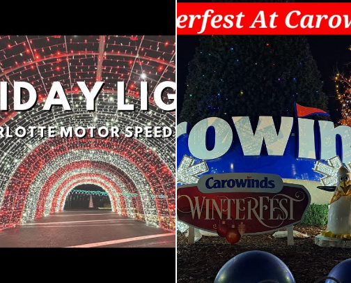 Holiday Fun cover photo collage