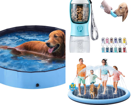 Sunny Days & Happy Paws! 🐾 cover photo collage