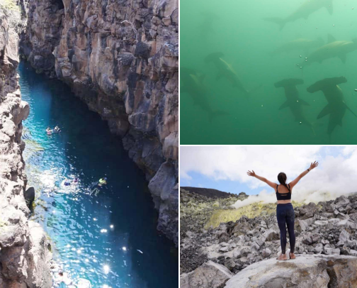 🦭 Best things to do in the Galapagos ✨ cover photo collage