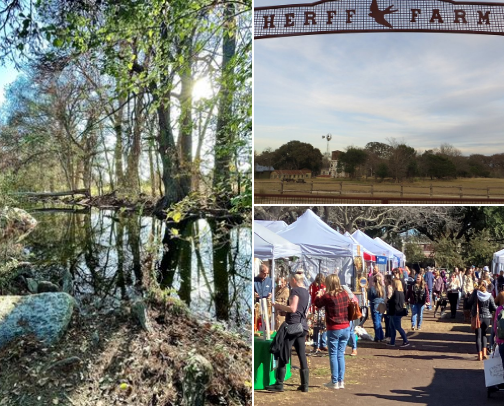 Texas Hill Country Travel Guide | Small Towns, Wineries, Cafes & Hidden Gems cover photo collage