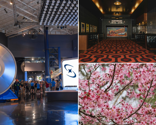 Chill Houston Spots for Introverts cover photo collage