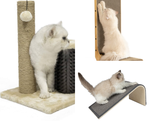 How To Make Your Cat Happy 😺😁 cover photo collage