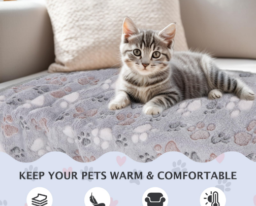 cat essentials i use daily 🐱 cover photo collage