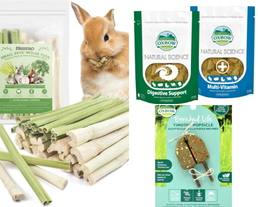 Pets Favorites cover photo collage