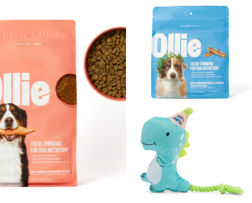 Paw-some Deals 🐶 cover photo collage