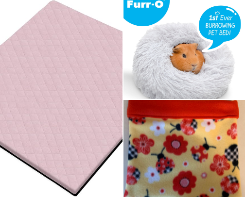 The ULTIMATE Guinea Pig Comfort LIST cover photo collage