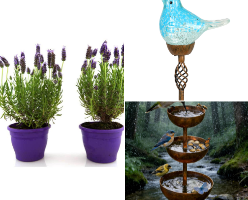 The Whimsical Calming Garden cover photo collage