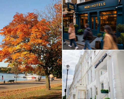 Feel at Home at These Hotels in Lancaster Gate, London, United Kingdom cover photo collage