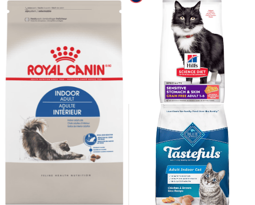 Essential  Items for Your Dogs  and Cats cover photo collage