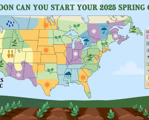 Spring Activities to Do as the Weather Warms Up cover photo collage