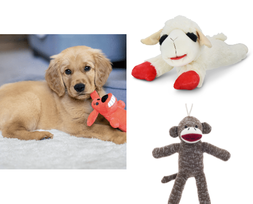 For the fur babies that break the bank! cover photo collage