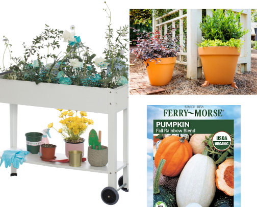 Gardening Starter Kit 🪴 cover photo collage
