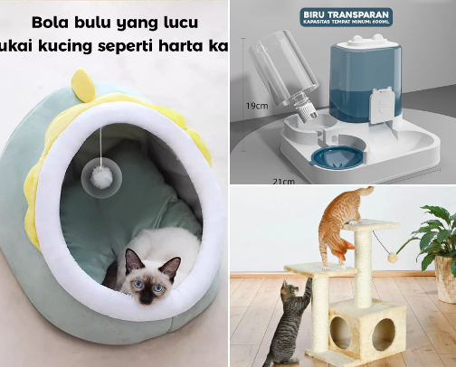 A comfortable room for my cat and my version cover photo collage