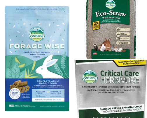 pet bunny essentials to help your indoor rabbit thrive ੈ✩‧₊˚ cover photo collage