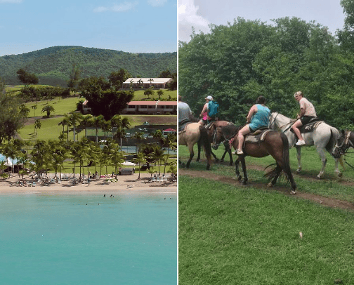 Things to do in the Virgin Islands 🇻🇮 (St.Croix) cover photo collage