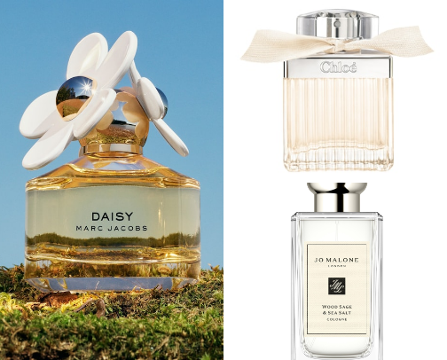 Must have perfumes cover photo collage