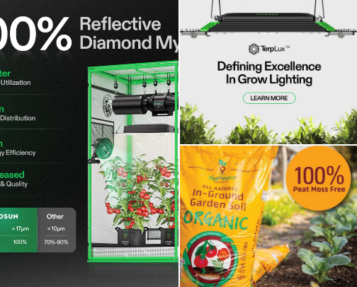 Gardening & Plant Care cover photo collage