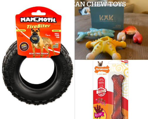 Heeler essentials cover photo collage