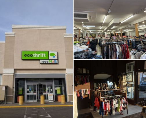 Thrifting and vintage finds in the Sacramento area! cover photo collage