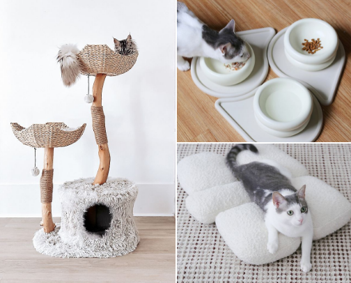 The Purr-fect Living Guide cover photo collage