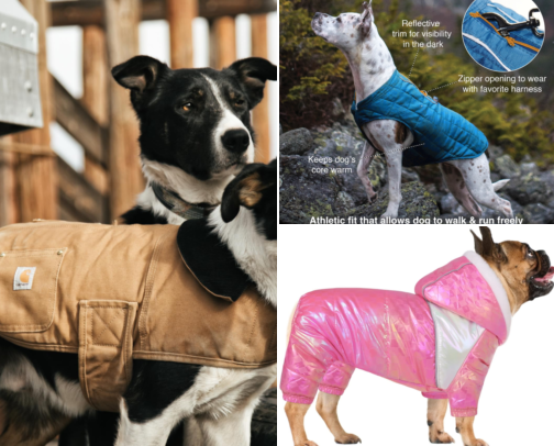 I Finally Found Dog Winter Coats My Dog Doesn't Try to Shake Off cover photo collage