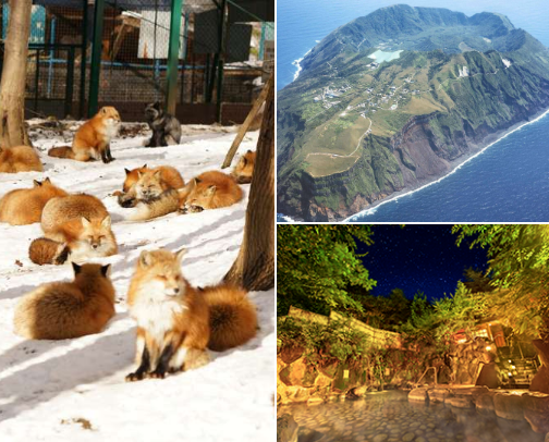 Top 10 Unique and Unforgettable Places to Visit in Japan cover photo collage