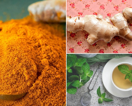 Healing Foods & Plant Allies cover photo collage