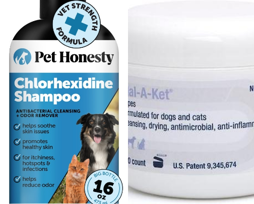 Must Haves for Our Dogs. cover photo collage