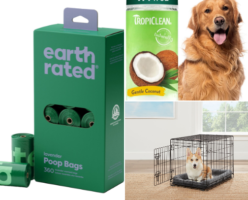 Must-haves for the Dogs cover photo collage