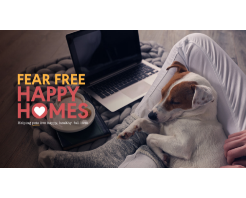Free Resources That Actually Helped My Anxious Dog (No Products Required) cover photo collage
