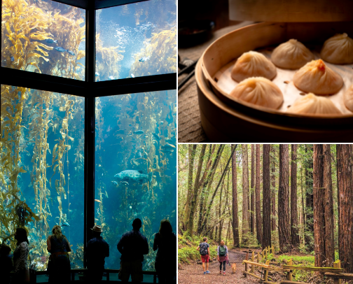things to do in the san francisco bay area cover photo collage