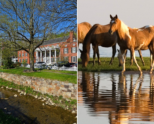 My top Berkeley Springs recs cover photo collage
