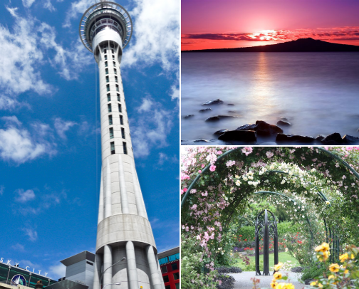 Places to visit in Auckland cover photo collage