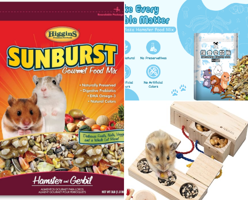 Hamster Starter Kit: Everything You Actually Need cover photo collage