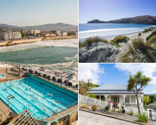 Dunedin Travel Tips: Nature, Wildlife & City Sights cover photo collage