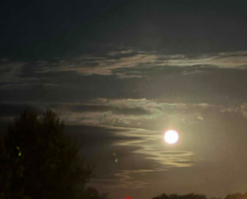 My Hobby Is Taking Photos On My Phone! cover photo collage