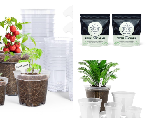 Houseplant Must Haves cover photo collage