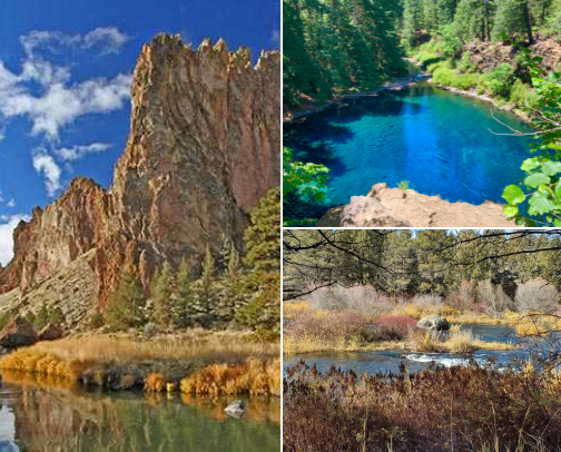 Favorite places to hike 🌲 cover photo collage