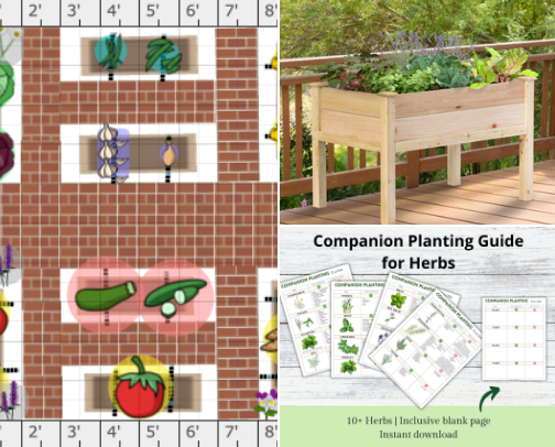 Grow a Garden: Layouts, Tools & Must-Haves for Planning Your Dream Garden cover photo collage