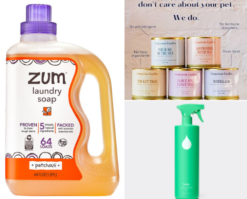 Non-Toxic Household Needs cover photo collage