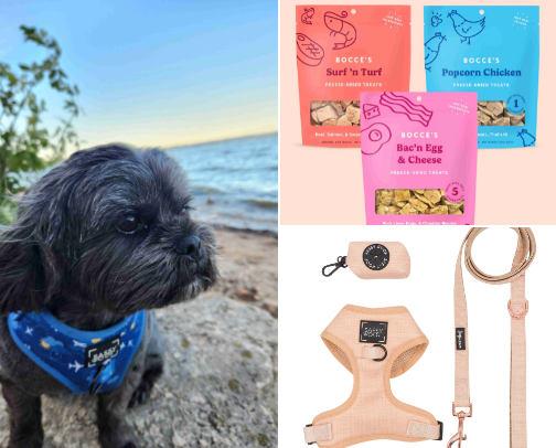 Things To Buy For Your Dog cover photo collage