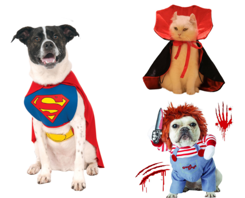 4 legged pet Halloween cuteness cover photo collage