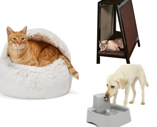 Realistic Pet Care cover photo collage