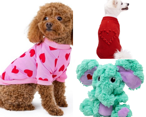 Realistic Pet Care cover photo collage