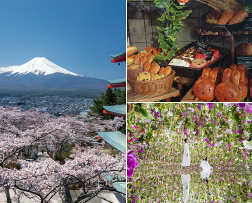 Travel Diaries: Tokyo and Osaka, Japan cover photo collage