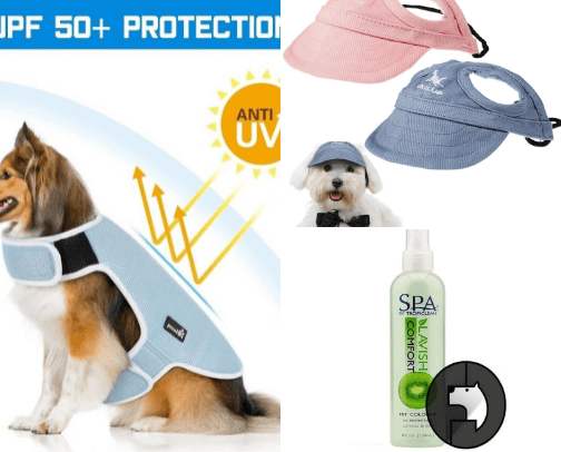 Protecting you pet under the sun cover photo collage