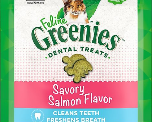 Chewy Essentials for Cat Parents cover photo collage